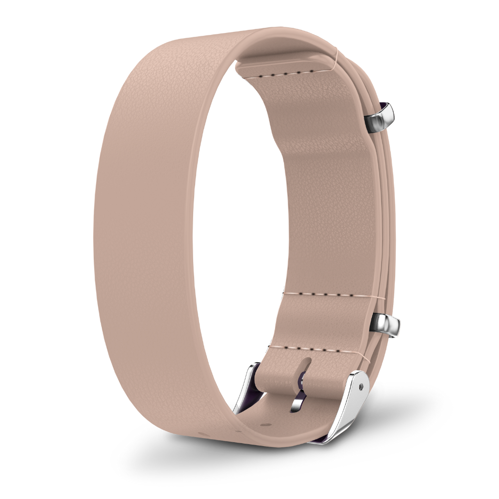 Interchangeable strap