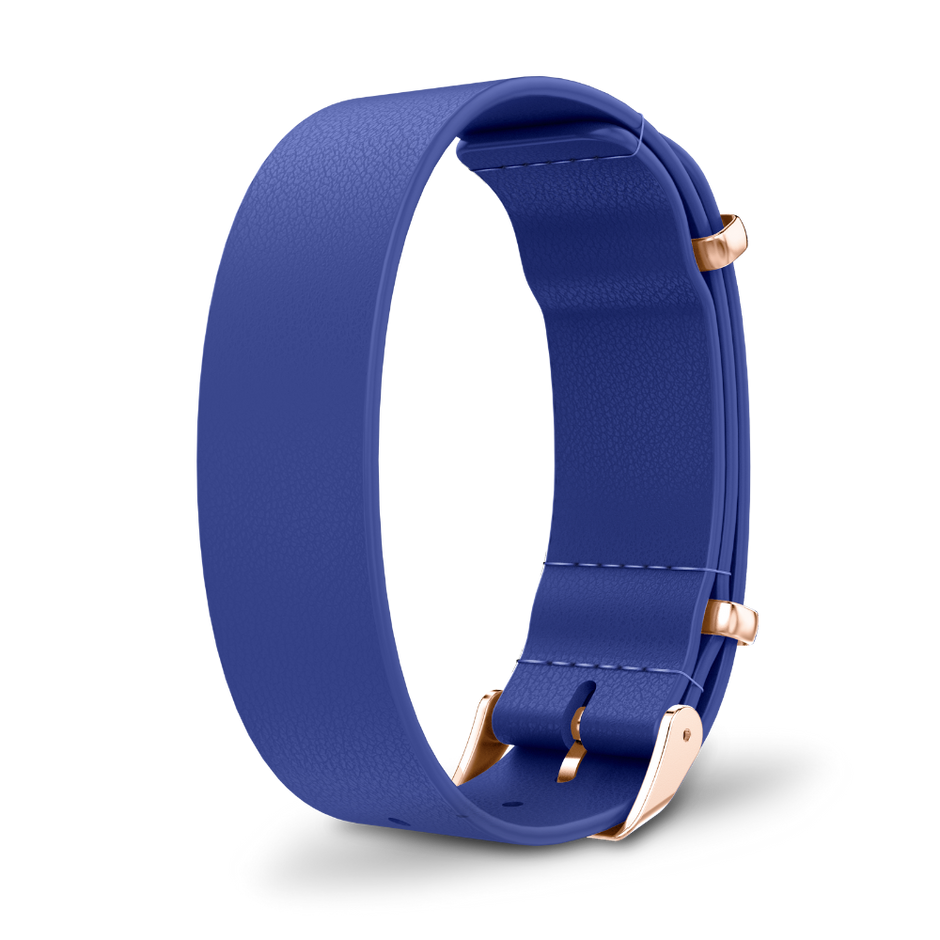 Interchangeable strap