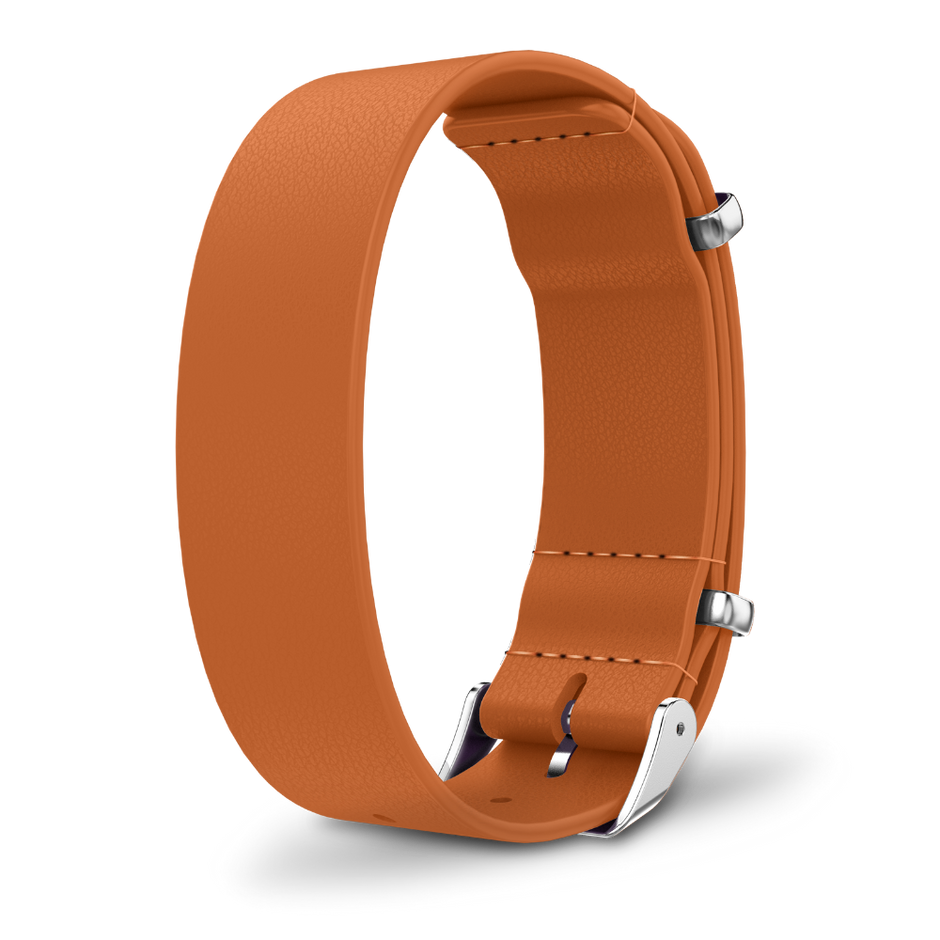 Interchangeable strap
