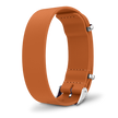 Interchangeable strap