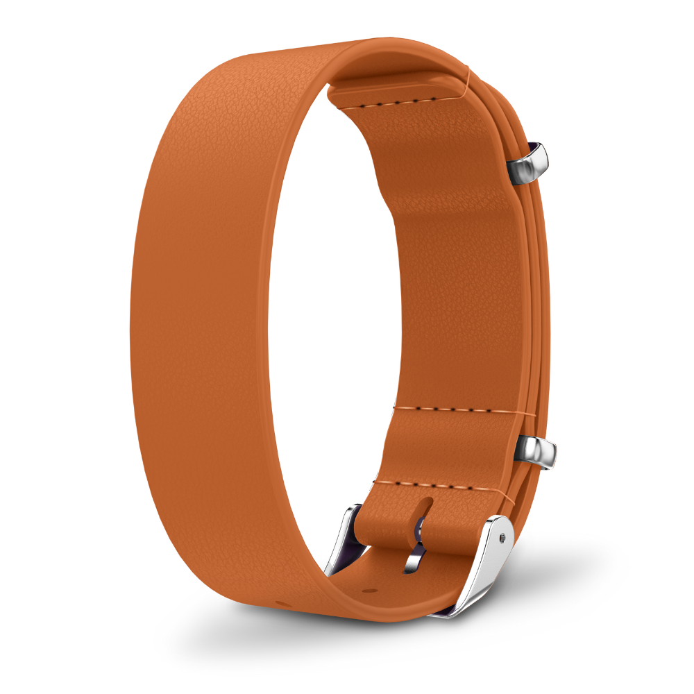 Interchangeable strap