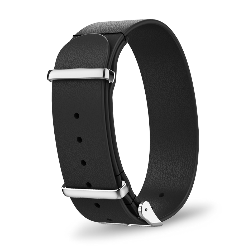 Interchangeable strap