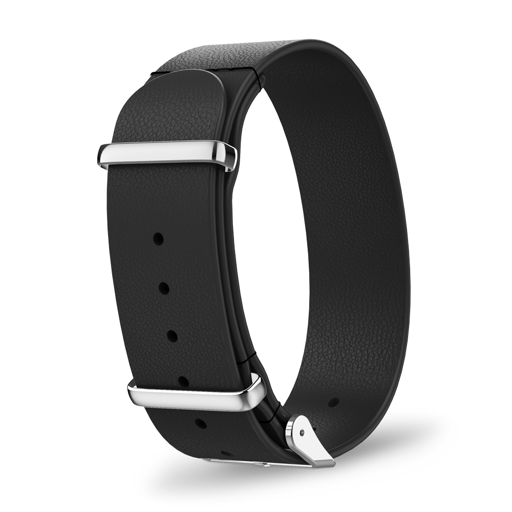 Interchangeable strap
