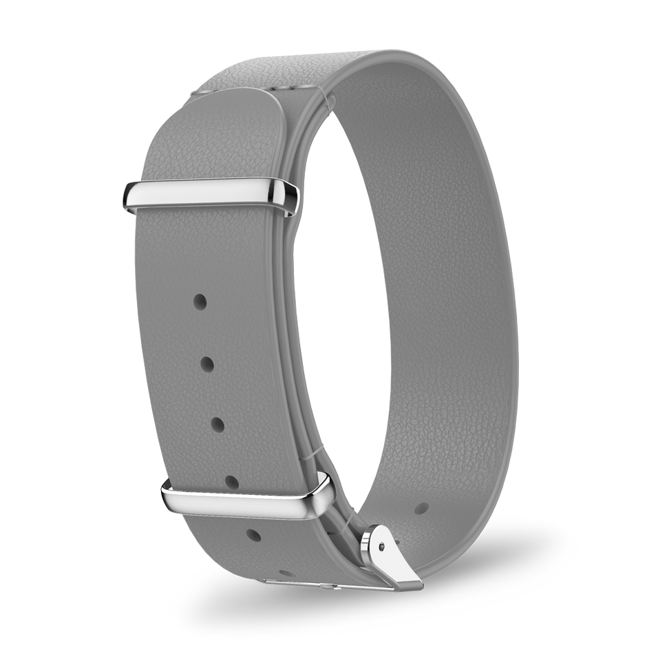 Interchangeable strap