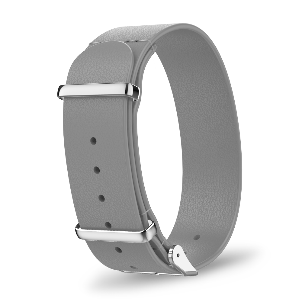 Interchangeable strap
