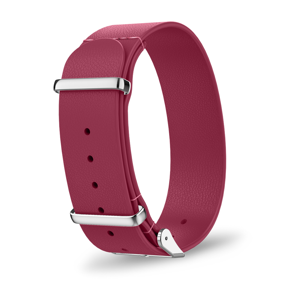 Interchangeable strap