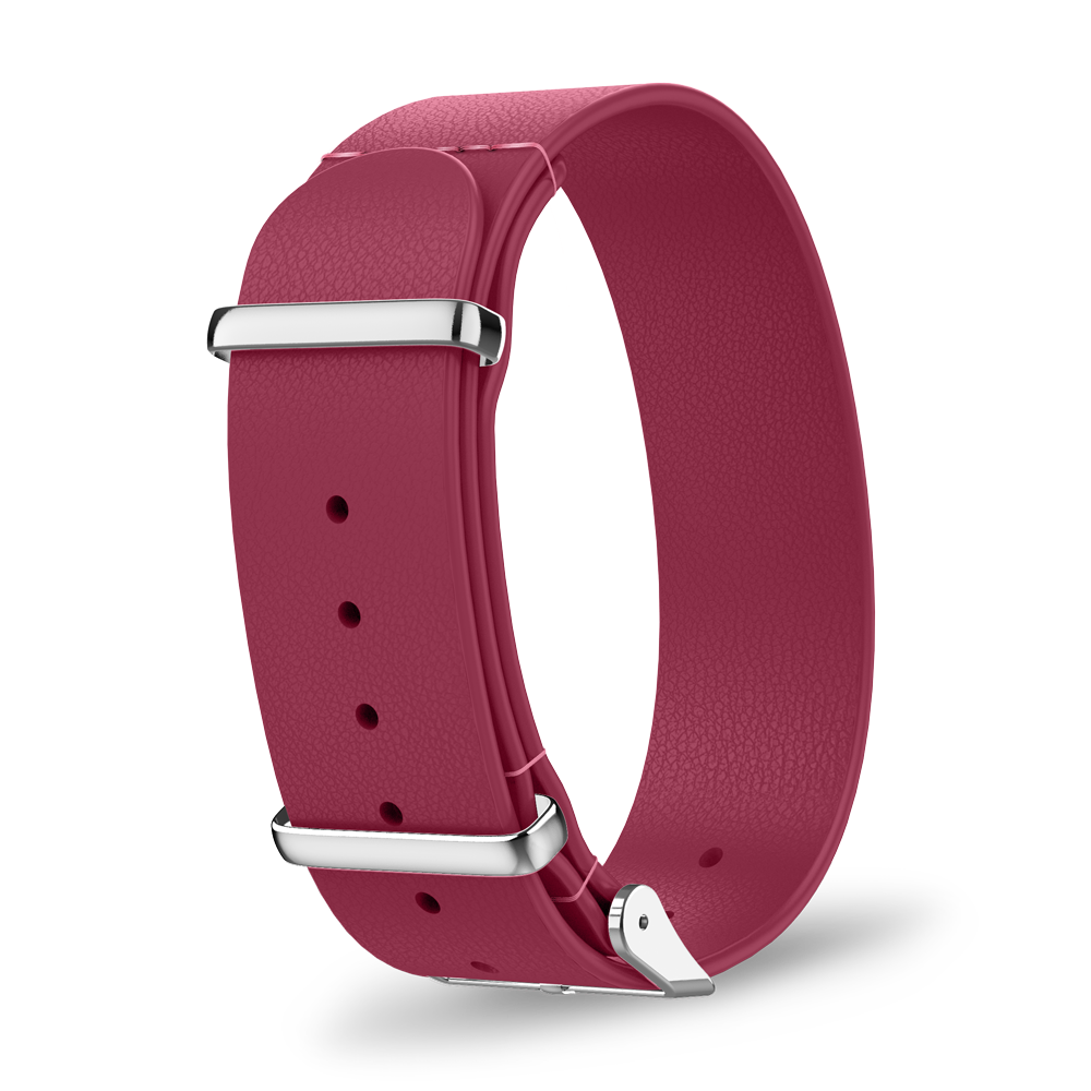 Interchangeable strap