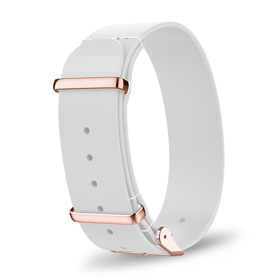 Interchangeable strap