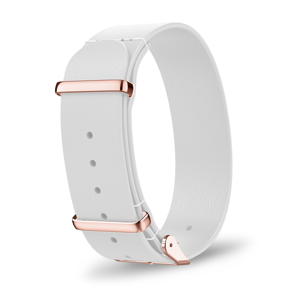 Interchangeable strap