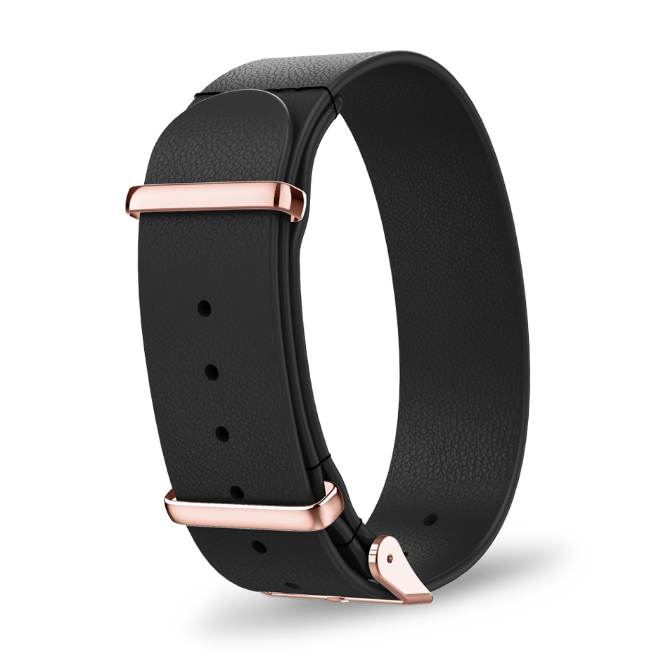 Interchangeable strap