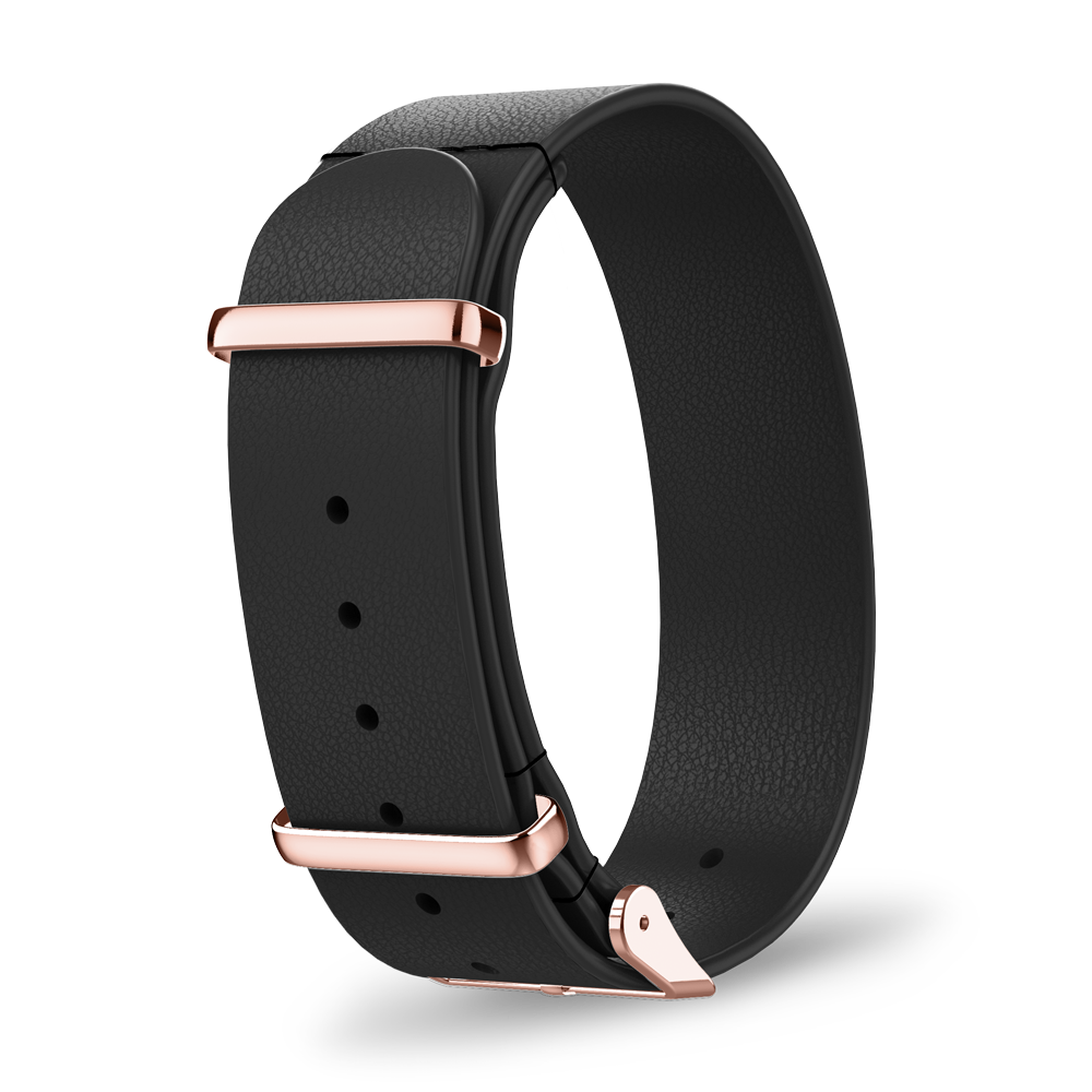 Interchangeable strap