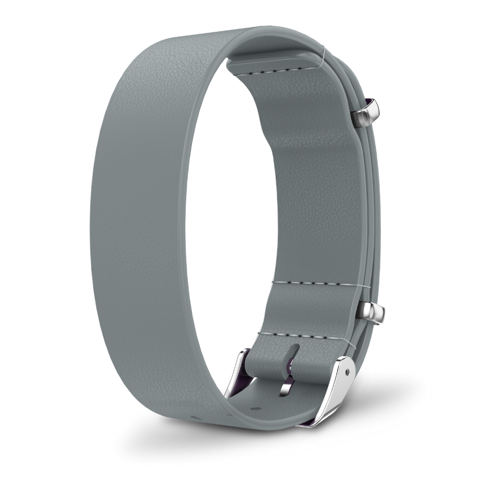 Interchangeable strap