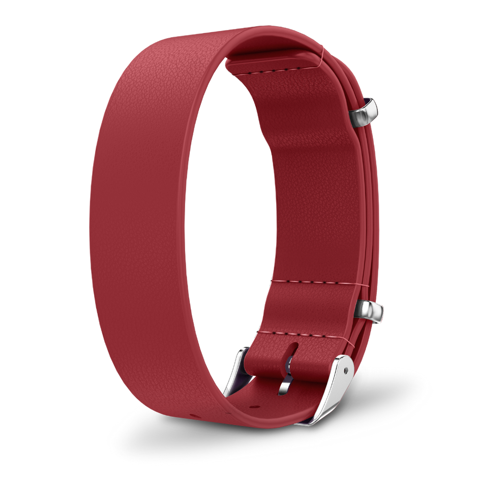 Interchangeable strap