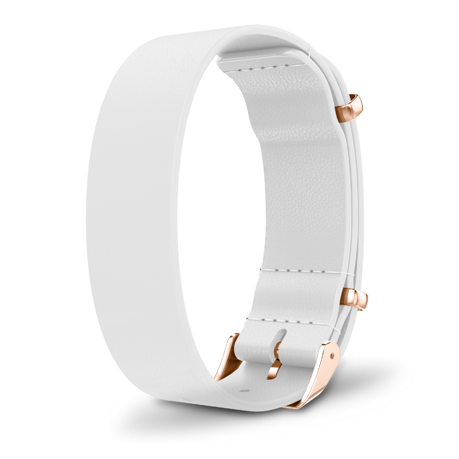 Interchangeable strap